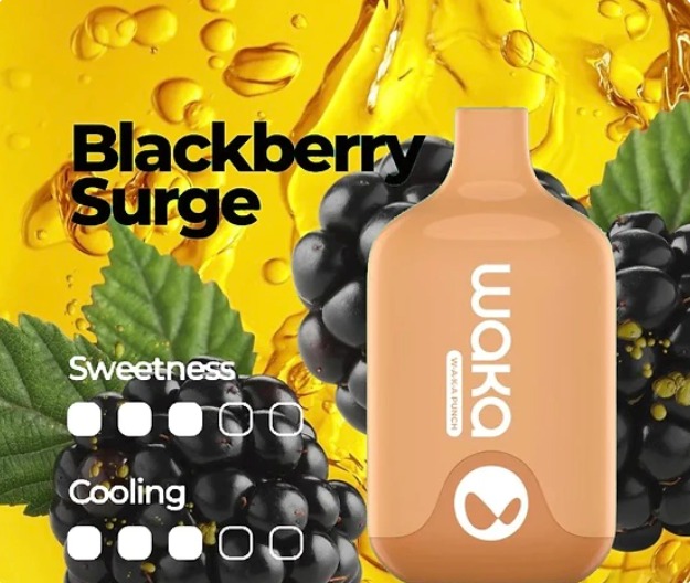 Waka Smash Blackberry Surge – 6000 Puffs