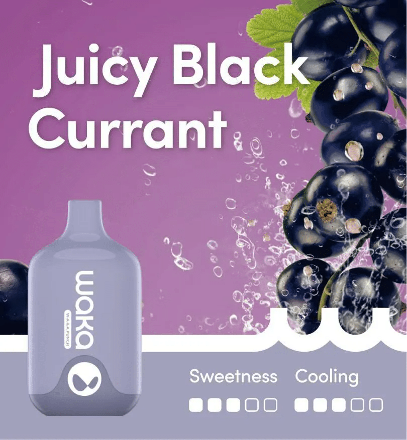 Waka Smash Juicy Black Currant – 6000 Puffs