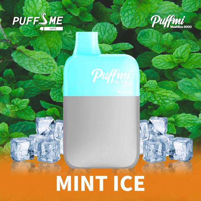 Puffmi Mint Ice – 5000 Puffs