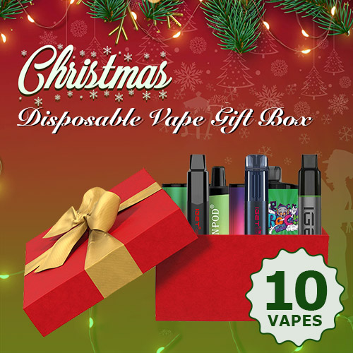 10X Disposable Vape Christmas Gift Box