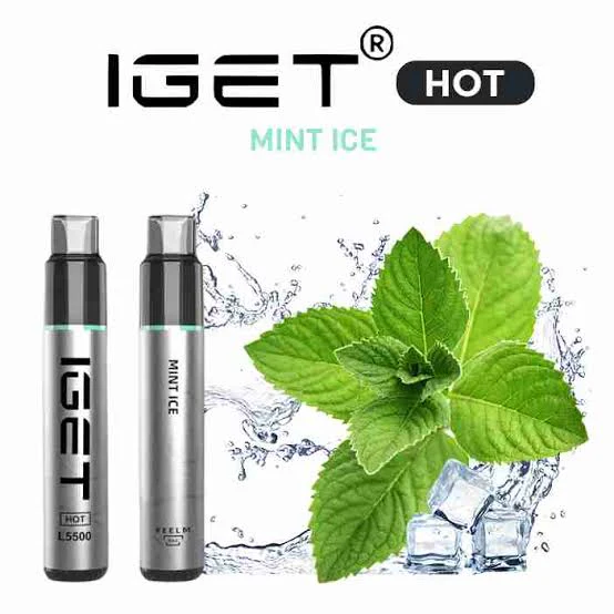 Mint Ice – IGET Hot – 5500 Puffs