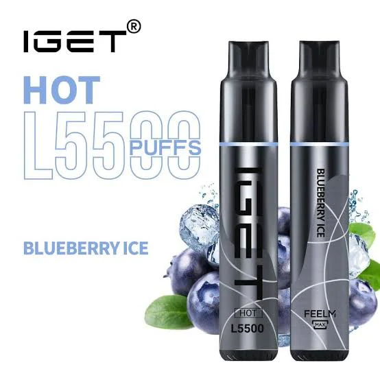 Blueberry Ice – IGET Hot – 5500 Puffs