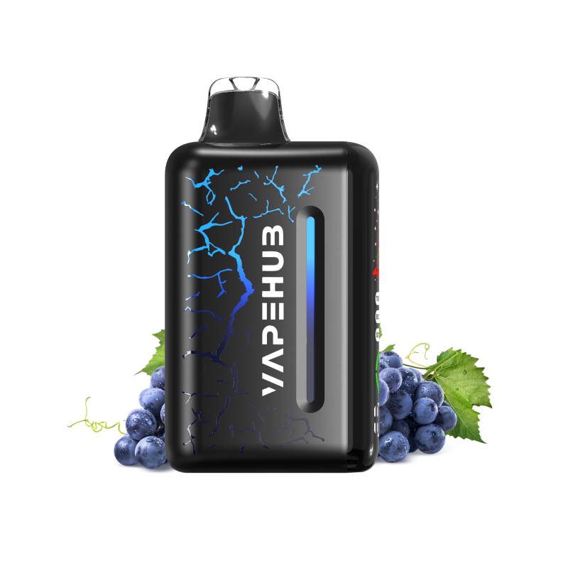 Blueberry Blast Storm – Vapehub Ultra 20000
