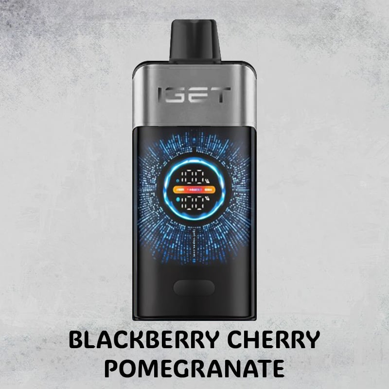 Blackberry Cherry Pomegranate – IGET One – 12000 Puffs