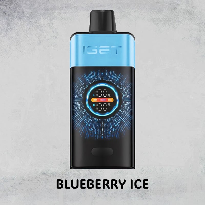 Blueberry Ice – IGET One – 12000 Puffs