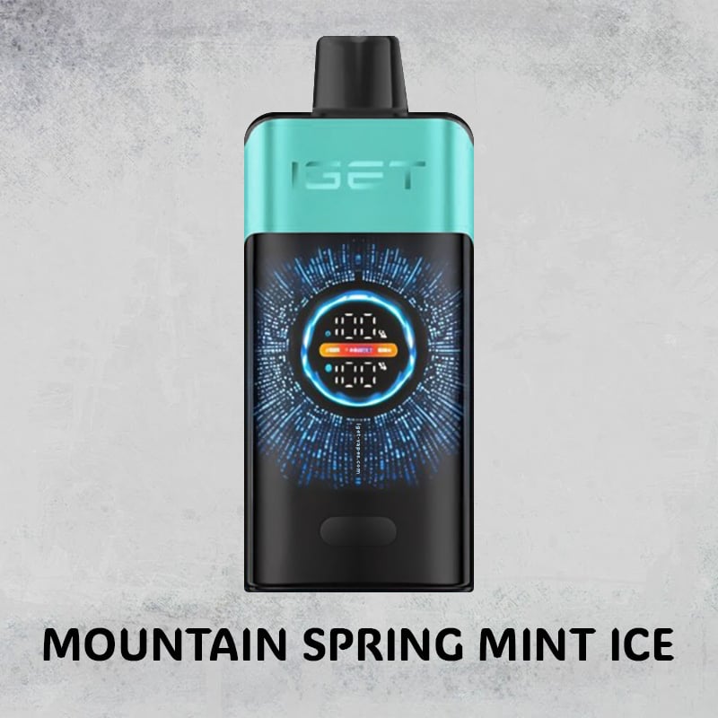 Mountain Spring Mint Ice – IGET One – 12000 Puffs